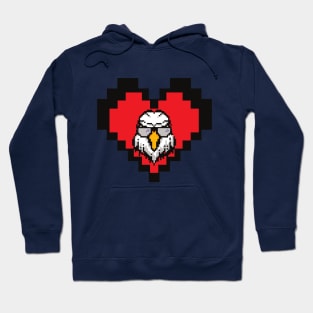 Pixel eagle Hoodie